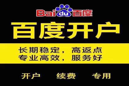 深度解析百度竞价包年服务：某行业领先企业的营销策略